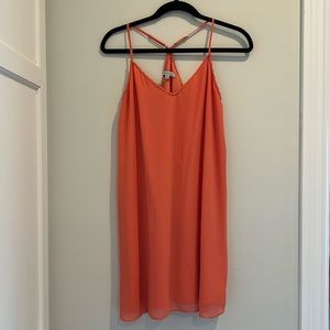 Naked Zebra Shift Dress